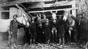 An apple for Hannah: A Christmas story from the coal fields