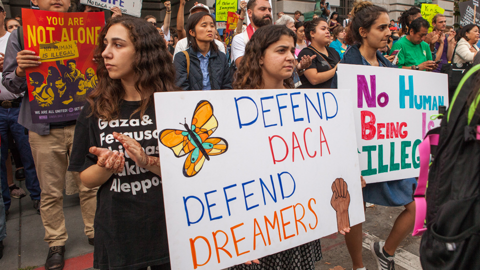 Buy The dreamers act For Free