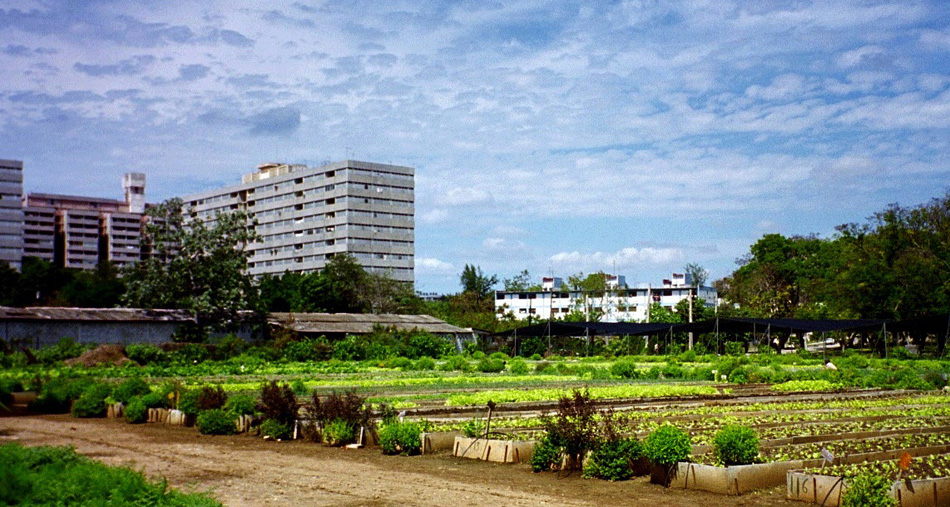 Agrotowns: Ecological pathways to development