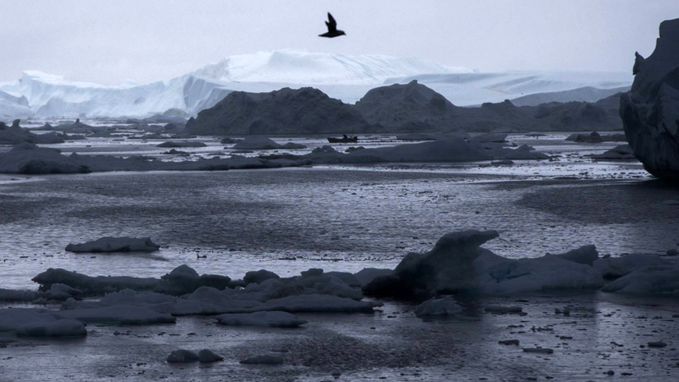 What’s behind Greenland’s black snow?