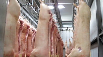 Trump proposes ending speed limits on pork processing lines