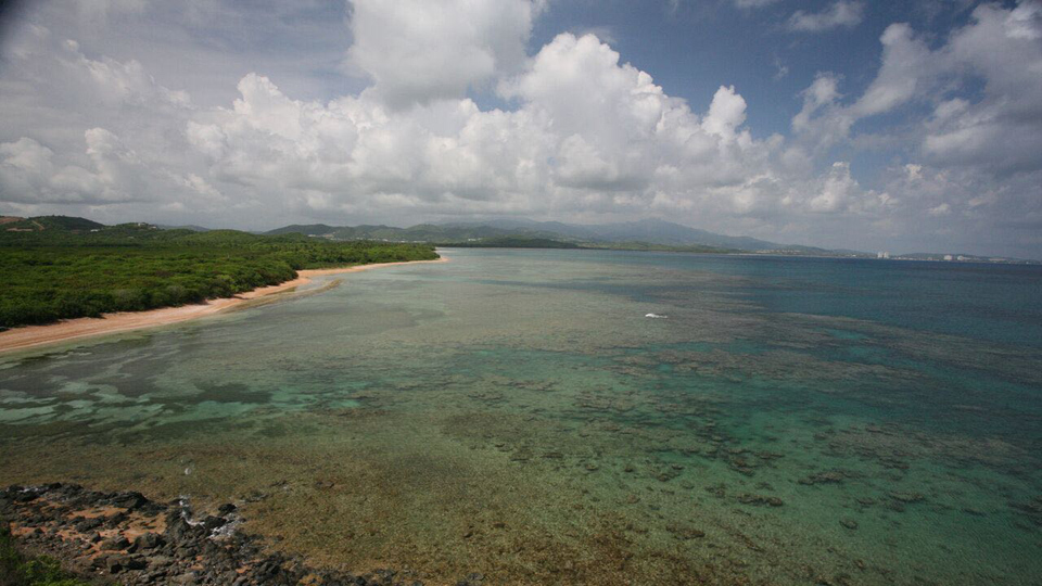 Biodiversidad a la Venta en Puerto Rico