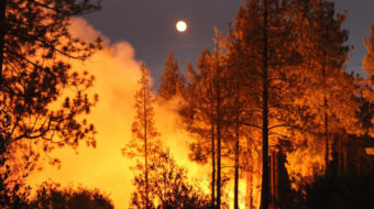 The world burns as global warming crisis explodes