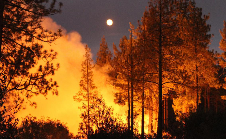 The world burns as global warming crisis explodes