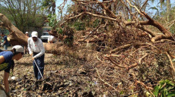 Puerto Rico planting 750,000 trees to defend land from natural disasters