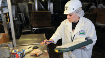 Sick chickens on your dinner platter – here we go again