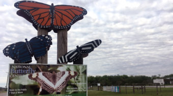 Butterfly Center asks judge to stop Texas border wall