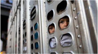 Government kept secret files on “instigators” and journalists covering migrant caravan