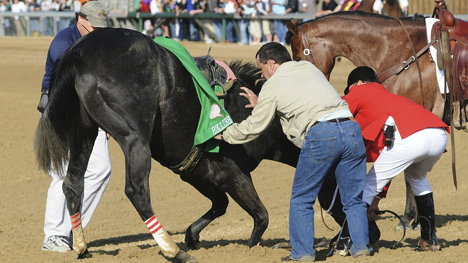 Santa Anita horse deaths overshadow reforms made elsewhere