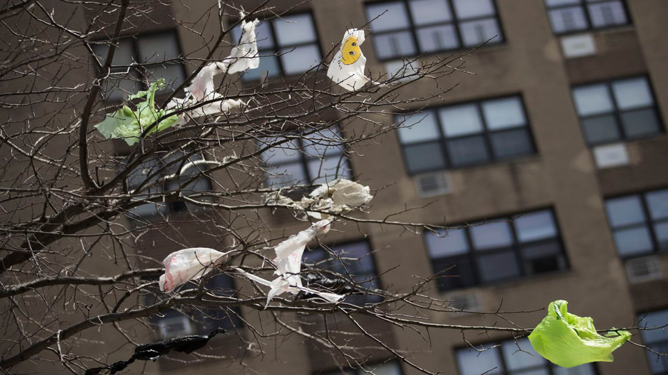 New York becomes second state to ban plastic bags