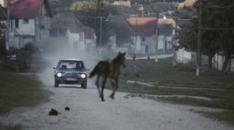 South East European Film Festival highlights audacity in cinema: ‘Moon Hotel Kabul’