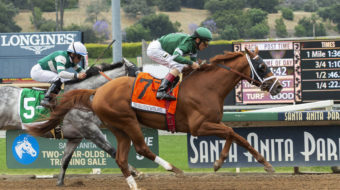 Santa Anita checking if rules followed before horse’s death