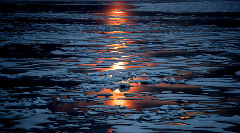 Alaska’s warming waters spell trouble for residents and wildlife