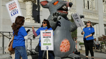 Federal judge frees labor’s rat from Trump NLRB’s trap