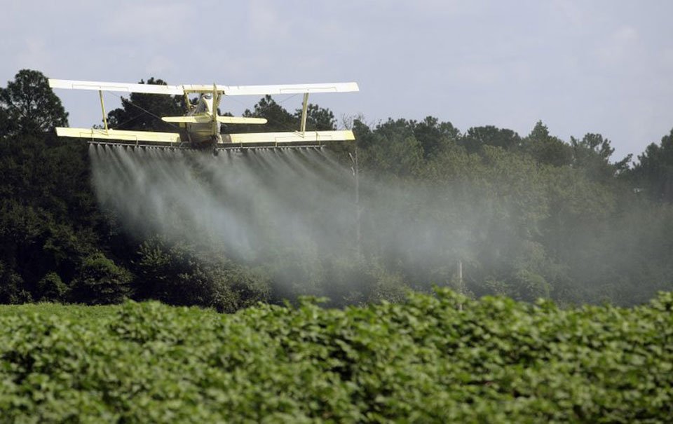 States sue Trump EPA to stop its OK of toxic pesticide