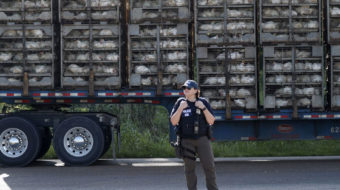 Poultry towns devastated as workers and students disappear after ICE raids