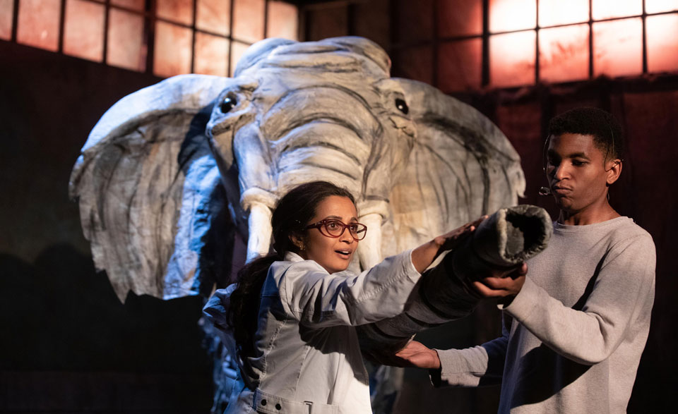 Pachyderm puppetry and human folly in ‘Miss Lilly Gets Boned’