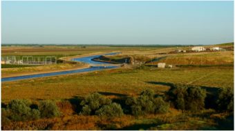 Harvest of Discontent: Trump’s trade war and the rural fight for survival