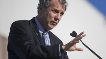 Federal workers take campaign against Trump to Congress