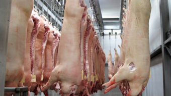 UFCW sues to stop Trump from returning slaughterhouses to The Jungle