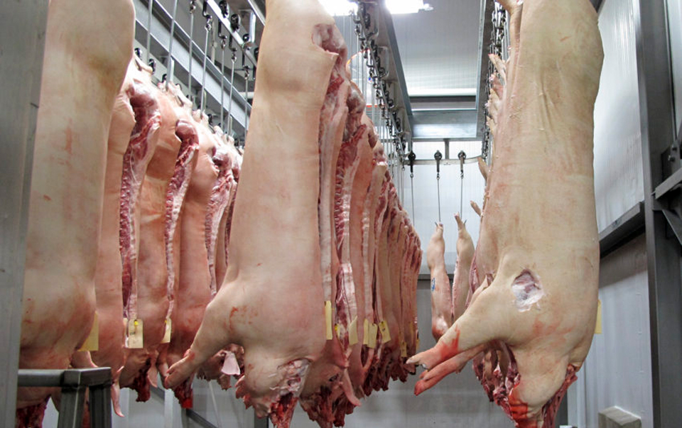 UFCW sues to stop Trump from returning slaughterhouses to The Jungle