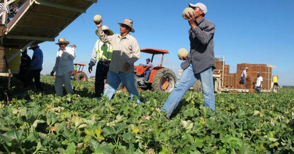 Union, advocates, growers, reps agree on residence requirements for undocumented farmworkers