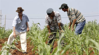 Cuba: Programa de la Agricultura Urbana, Suburbana y Familiar