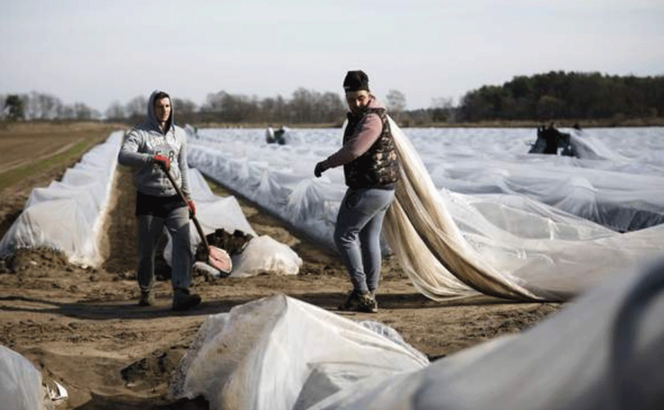 Asparagus getting more attention than U.S. nukes in Germany