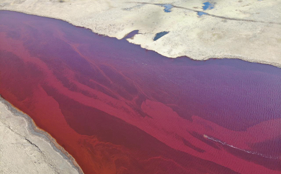 Disastrous oil spill ravages pristine Arctic lake