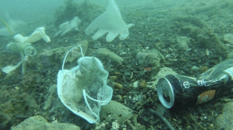 Masks, gloves – the ocean is filling up with COVID trash