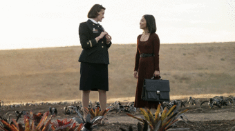 Serial TV and the global drug pandemic