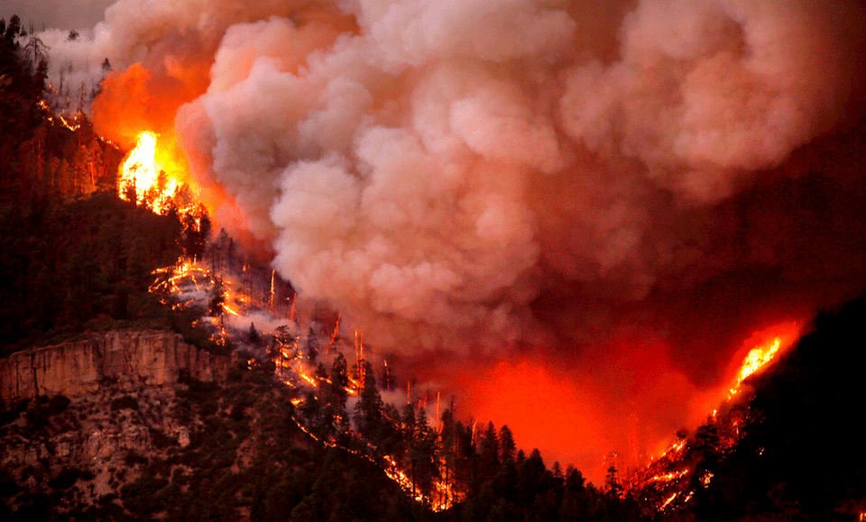 Colorado wildfire causes over 1,000 evacuations