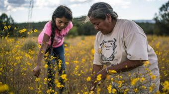 ‘Gather’: Despite America’s history of violence, Indigenous food sovereignty carries on