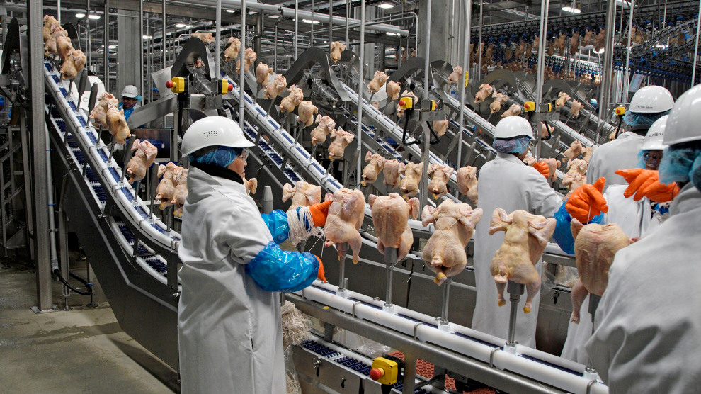 New Biden USDA dumps Trump poultry processing line speed-up