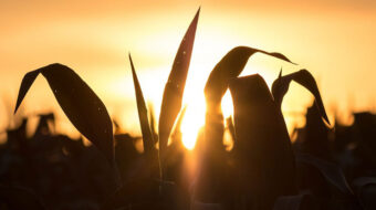 Farm Aid statement on agriculture in the Biden/Harris Administration