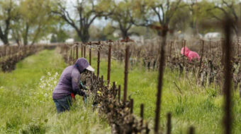 Case before Supreme Court may be definitive for farmworker rights