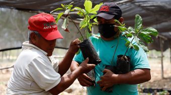 Mexico’s president proposes green jobs and humane labor migration