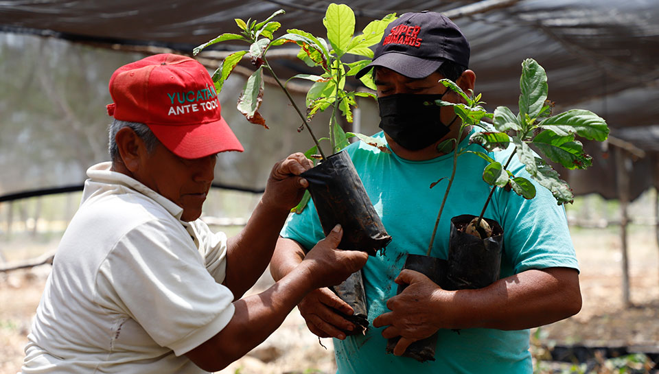 Mexico’s president proposes green jobs and humane labor migration