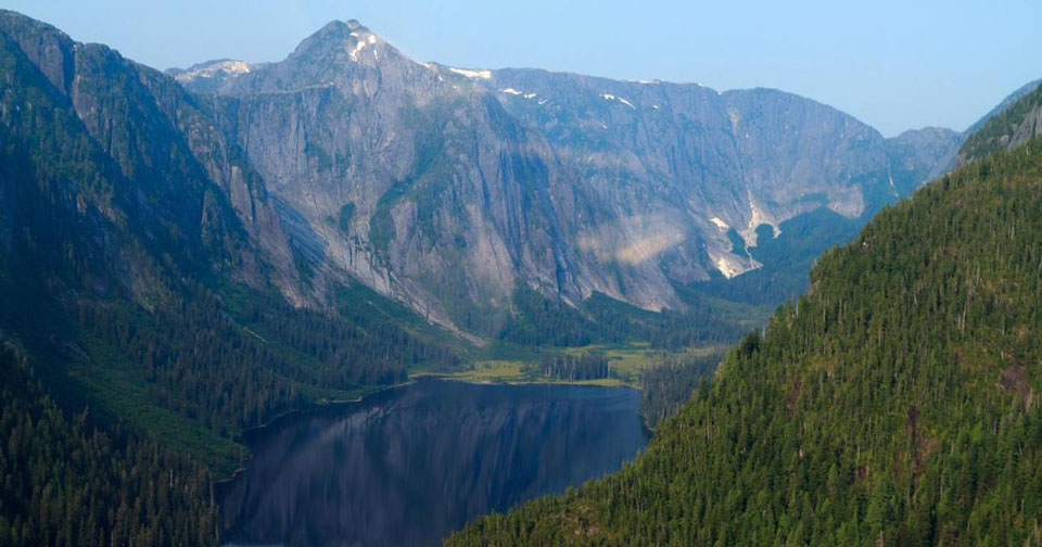 Biden will restore Tongass National Forest protections in critical step for climate