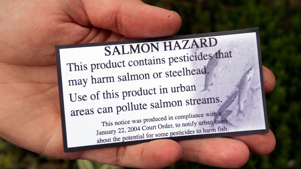 EPA takes action to protect Pacific salmon from pesticides
