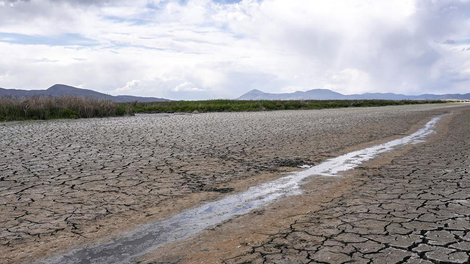 Judge tosses Trump rollback of clean water safeguards