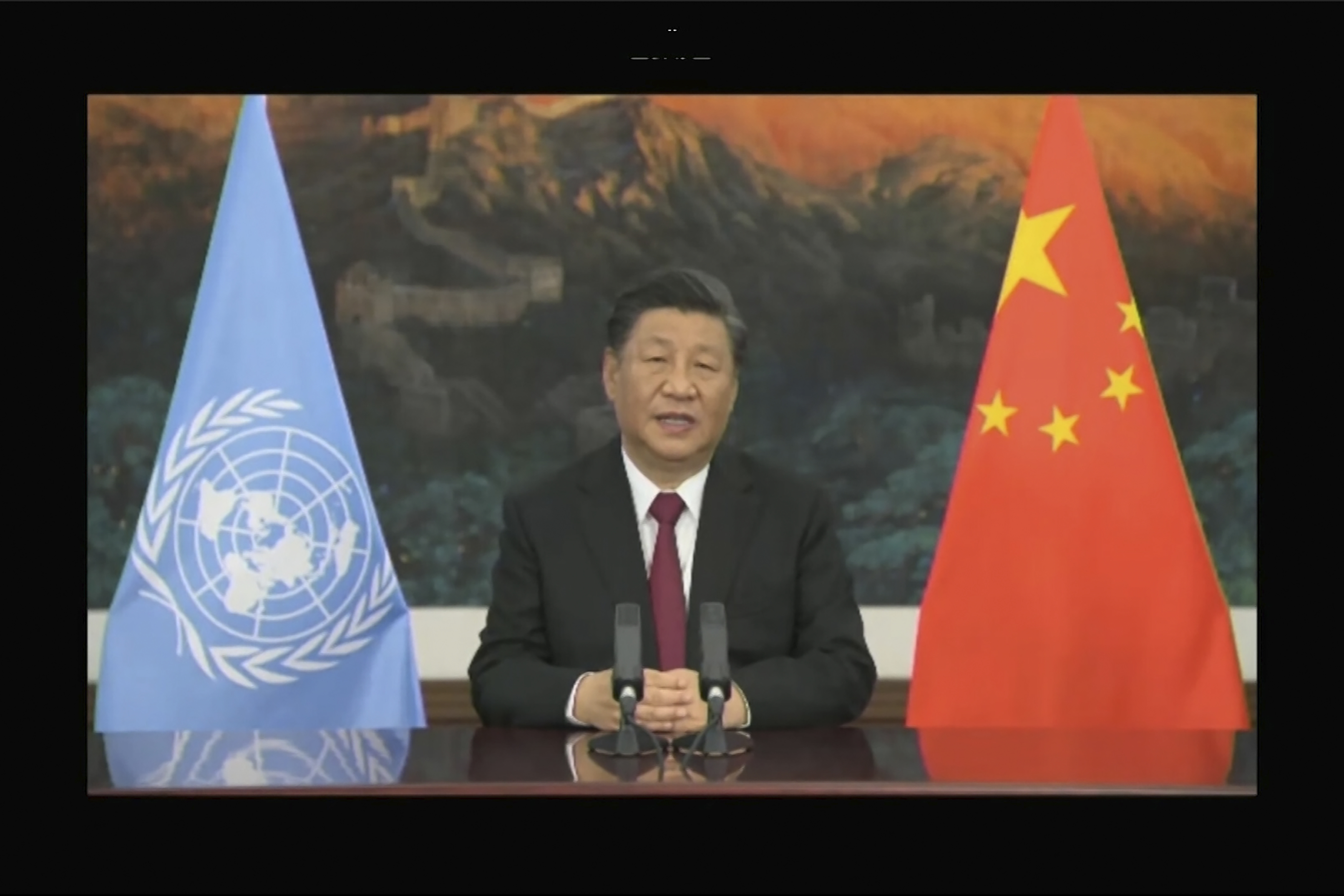 COP15 pushes biodiversity crisis to top of agenda before U.N. climate ...