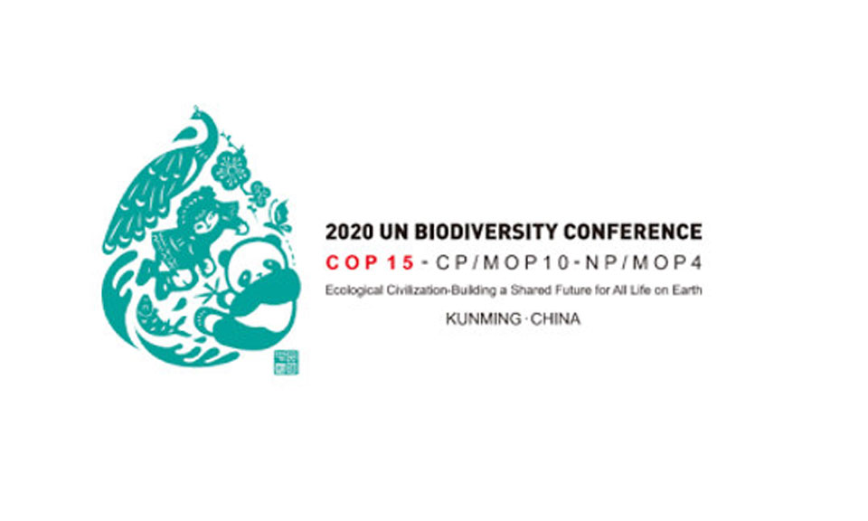 What is the COP15 biodiversity summit, and why is it so important?