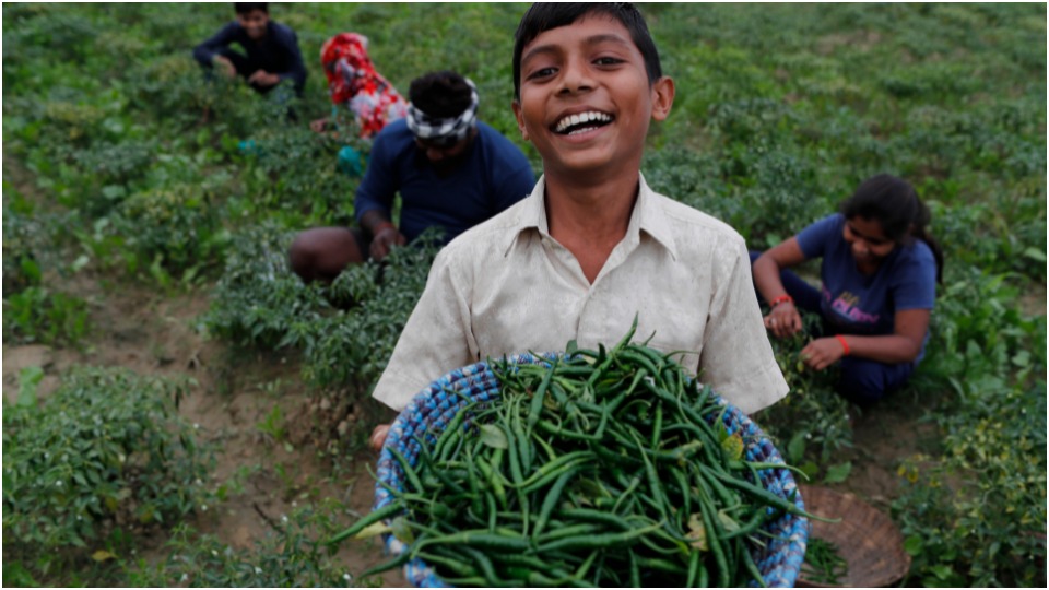 Lesson from India farmers’ victory: United mass struggle can win