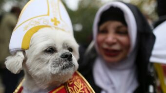 Pope should know poverty, not pets, keeps people from having kids under capitalism