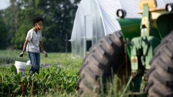 How Heirs’ Property fueled 90 percent decline in Black-owned farmland