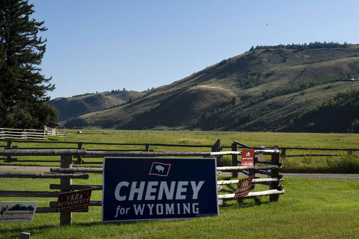 In Wyoming the choice is between a Trumpite and another right winger, Liz Cheney