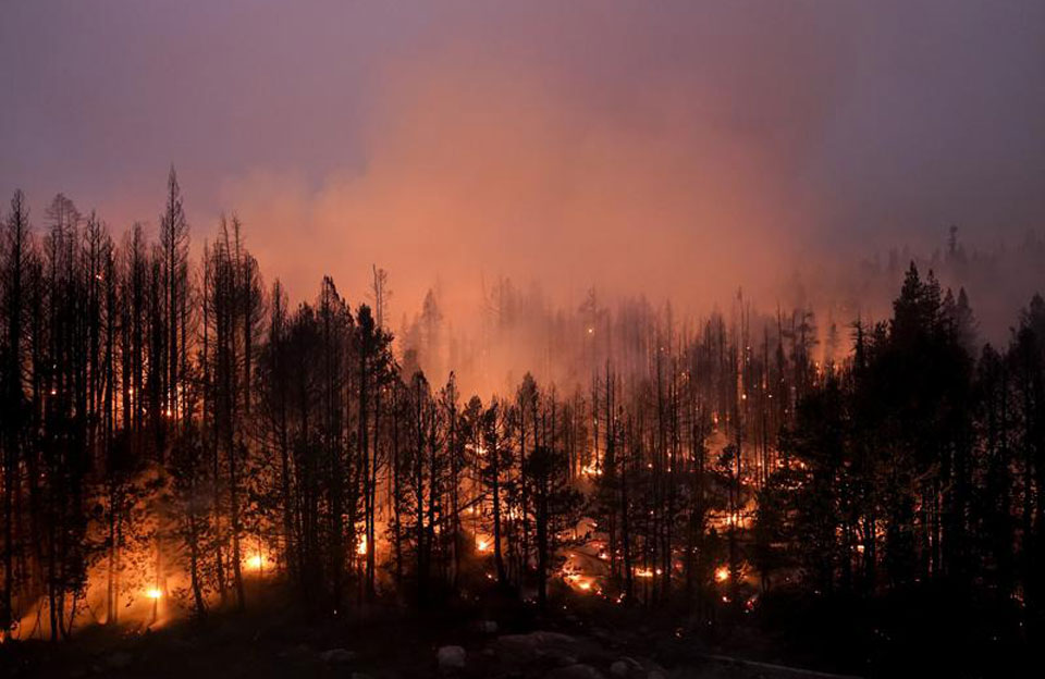 Fires caused a quarter of U.S. forest loss since 2021