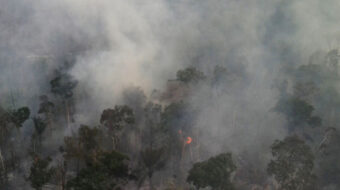 Number of Brazil Amazon fires hits five-year high in August