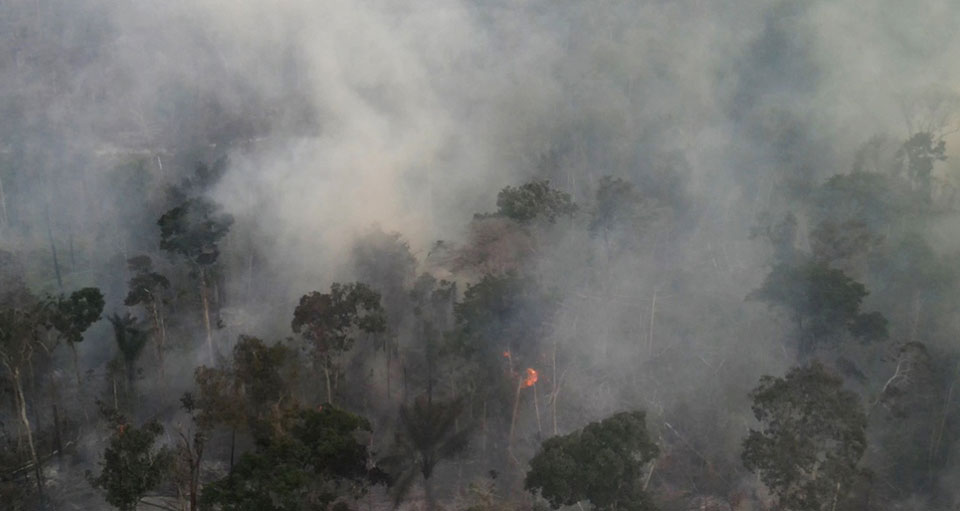 El número de incendios en la Amazonía brasileña alcanza un máximo de cinco años